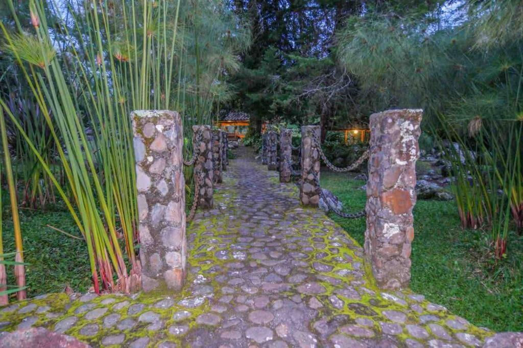 Finca Punta De Piedra Salento, Quindio Villa Exterior foto