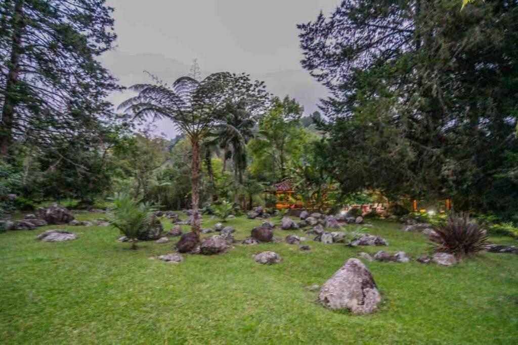 Finca Punta De Piedra Salento, Quindio Villa Exterior foto