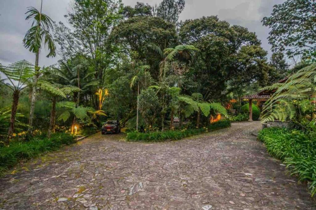 Finca Punta De Piedra Salento, Quindio Villa Exterior foto